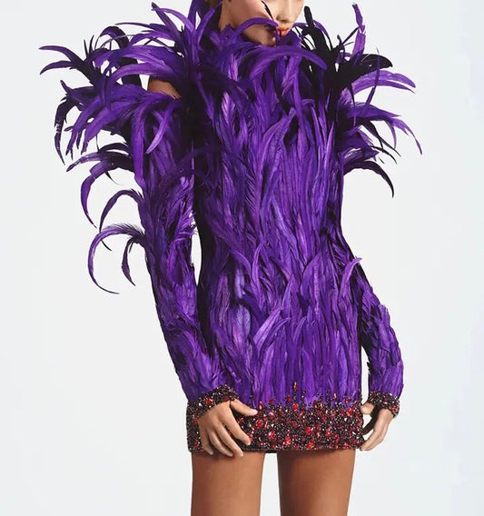 Detailed Feathers Mini Dress